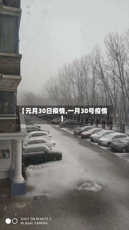 【元月30日疫情,一月30号疫情】-第3张图片