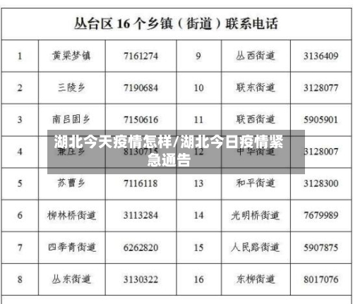 湖北今天疫情怎样/湖北今日疫情紧急通告