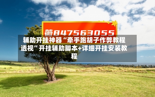 辅助开挂神器“牵手跑胡子作弊教程透视”开挂辅助脚本+详细开挂安装教程