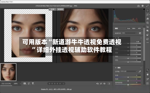 可用版本“新道游牛牛透视免费透视”详细外挂透视辅助软件教程-第3张图片