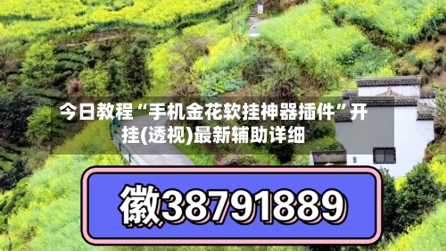 今日教程“手机金花软挂神器插件”开挂(透视)最新辅助详细-第2张图片