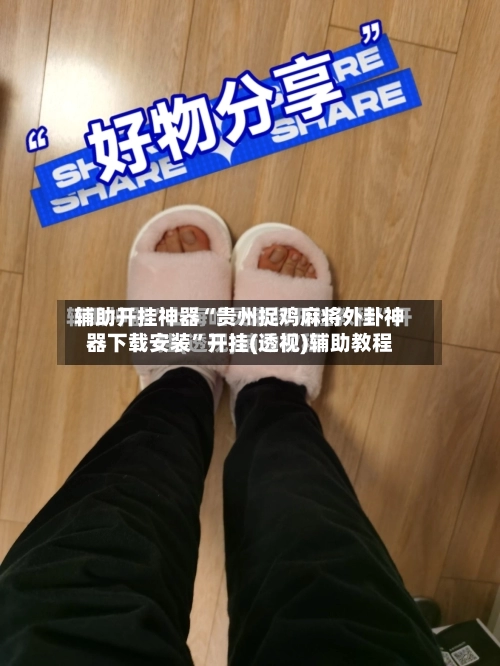 辅助开挂神器“贵州捉鸡麻将外卦神器下载安装”开挂(透视)辅助教程-第2张图片