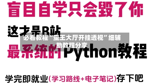 必看教程“蛮王大厅开挂透视”细辅助教程分享-第3张图片