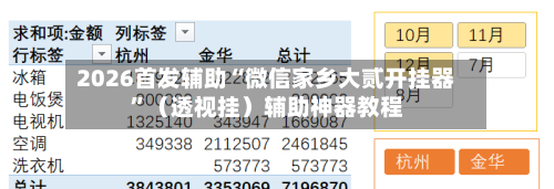 2026首发辅助“微信家乡大贰开挂器”（透视挂）辅助神器教程