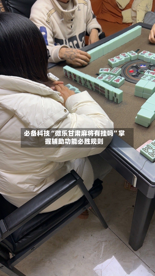 必备科技“微乐甘肃麻将有挂吗”掌握辅助功能必胜规则-第3张图片