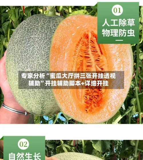 专家分析“蜜瓜大厅拼三张开挂透视辅助	”开挂辅助脚本+详细开挂-第2张图片