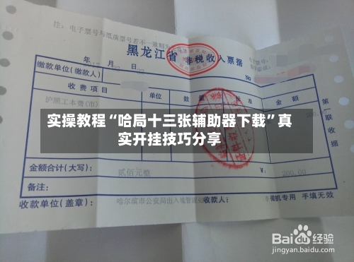 实操教程“哈局十三张辅助器下载”真实开挂技巧分享-第2张图片