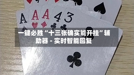 一键必胜“十三张确实能开挂”辅助器 - 实时智能回复-第2张图片