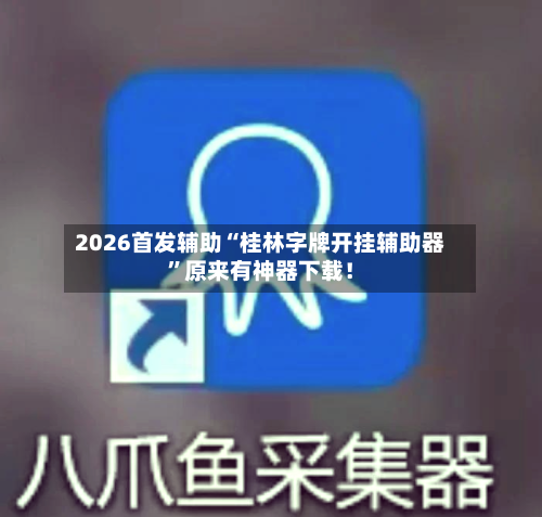 2026首发辅助“桂林字牌开挂辅助器”原来有神器下载！