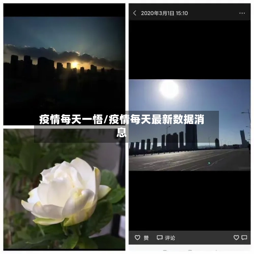 疫情每天一悟/疫情每天最新数据消息