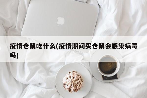 疫情仓鼠吃什么(疫情期间买仓鼠会感染病毒吗)