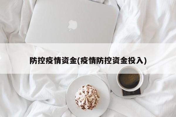 防控疫情资金(疫情防控资金投入)